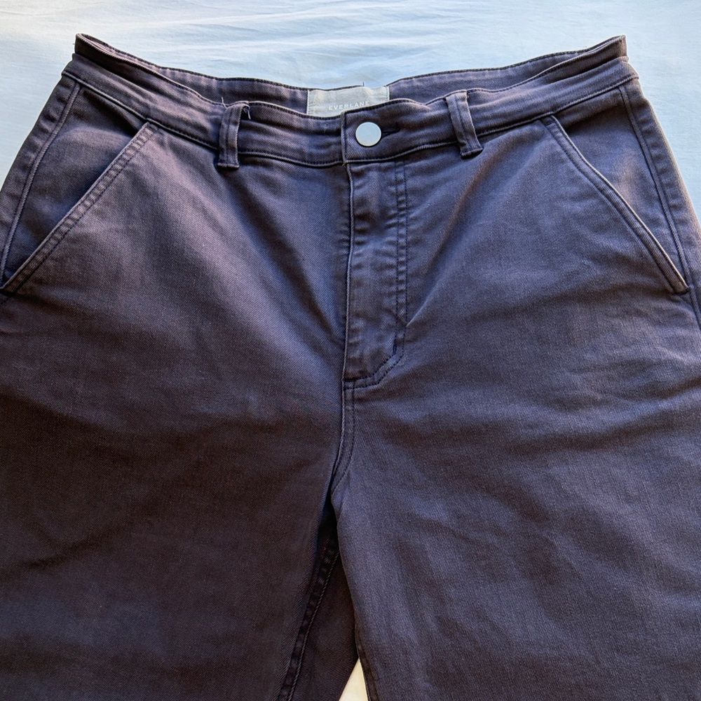 Everlane Dark Blue Chinos